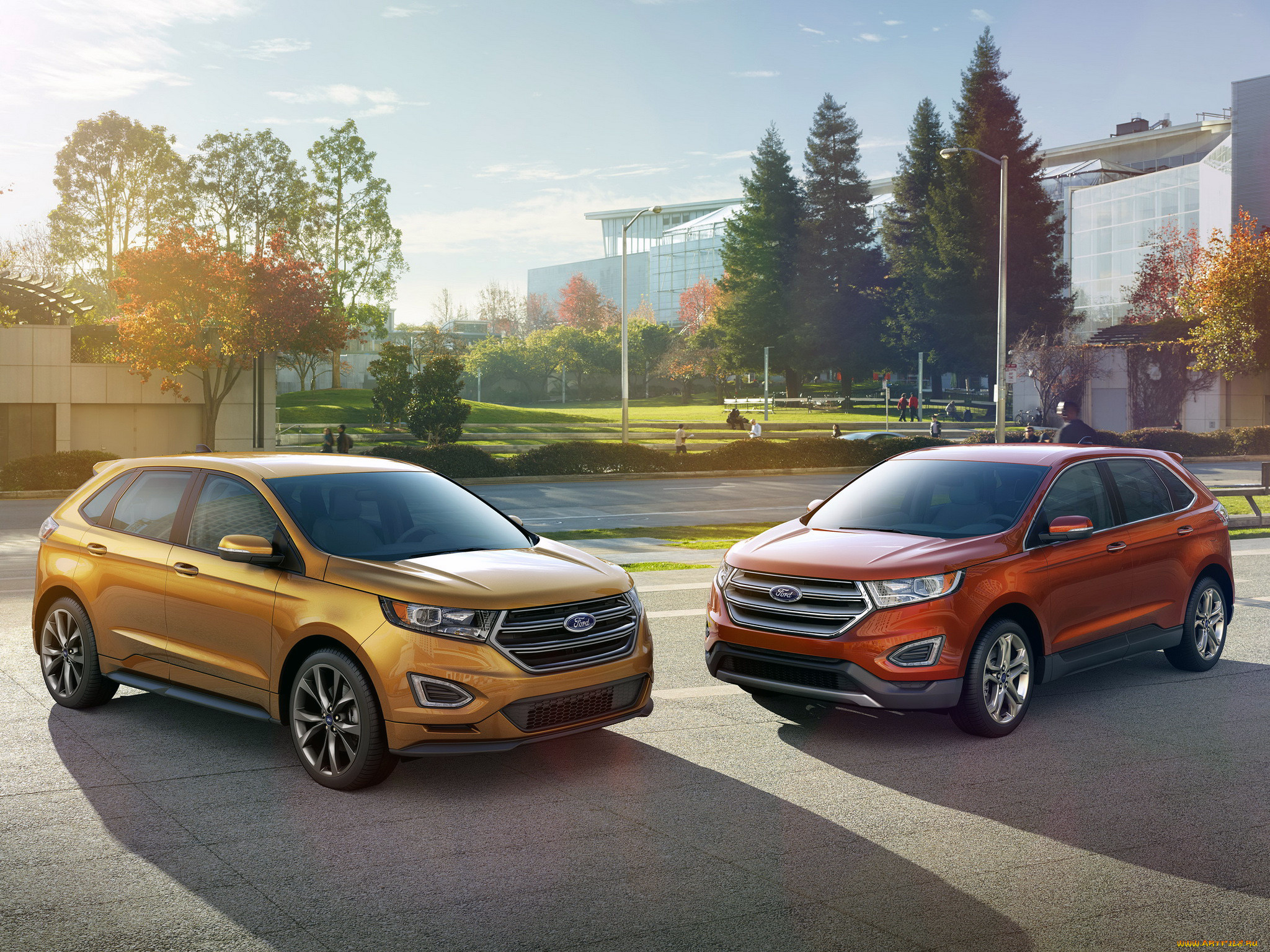 , ford, edge, 2015, 